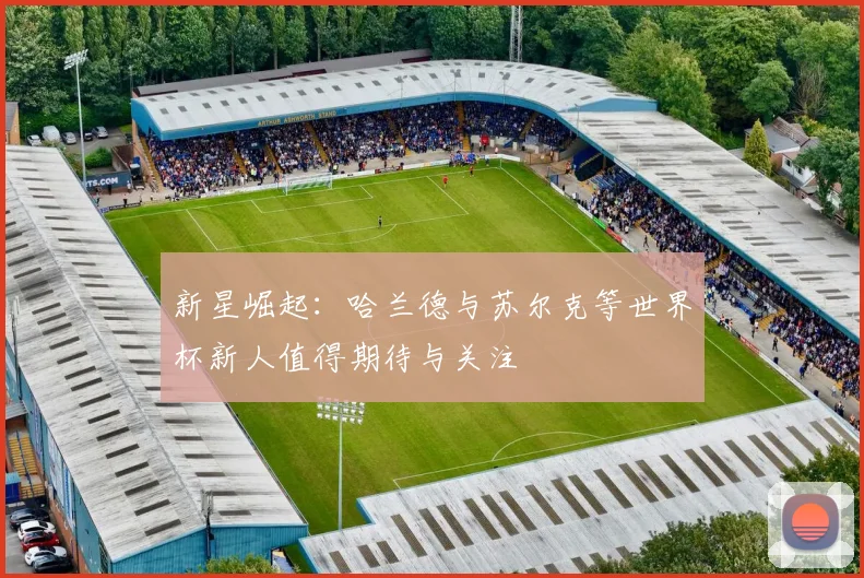 新星崛起：哈兰德与苏尔克等世界杯新人值得期待与关注