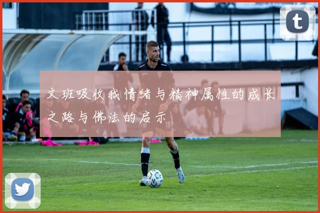 文班吸收我情绪与精神属性的成长之路与佛法的启示