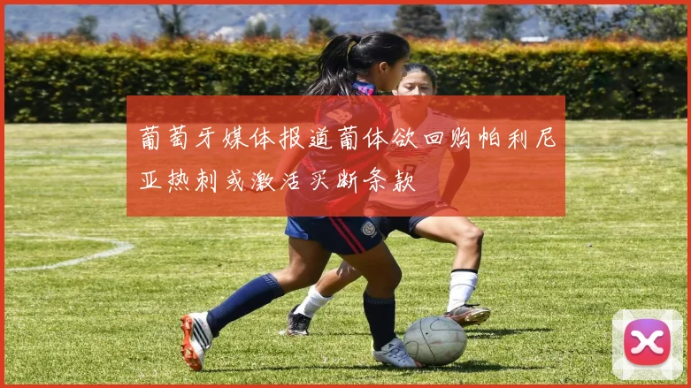 葡萄牙媒体报道葡体欲回购帕利尼亚热刺或激活买断条款